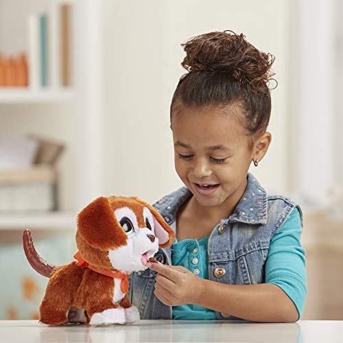 Furreal Friends Mascotas Perrito Paseos (Hasbro E89455X0)