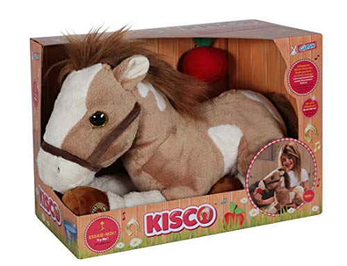 Gipsy 055837, Caballo Kisco Musical y Luminoso