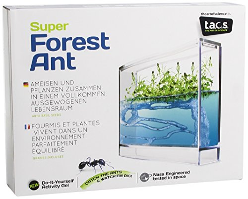 Globus Super Forest  6146661 - Acuario educativo para plantas y hormigas