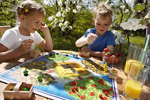 HABA Frutal, ESP (3403), emocionante dados, con 40 frutas de madera y reglas fáciles de entender, popular juego de mesa a partir de 3 años, Talla Única (HA3403)