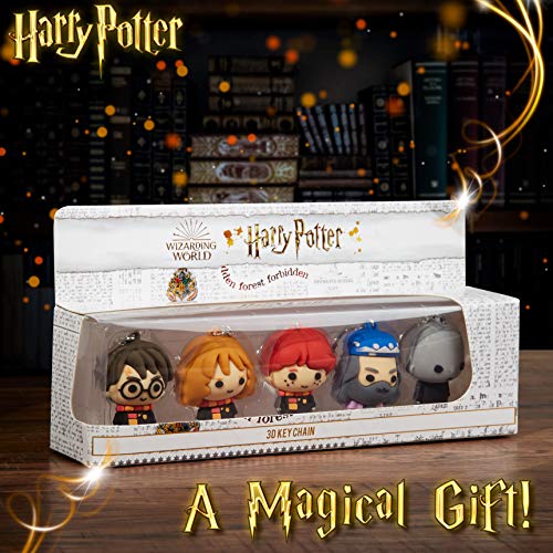 HARRY POTTER Llaveros Originales Chibi, Pack de 5 Figuras 3D Coleccionables, Merchandising Oficial Regalos Niños Niñas y Adolescentes