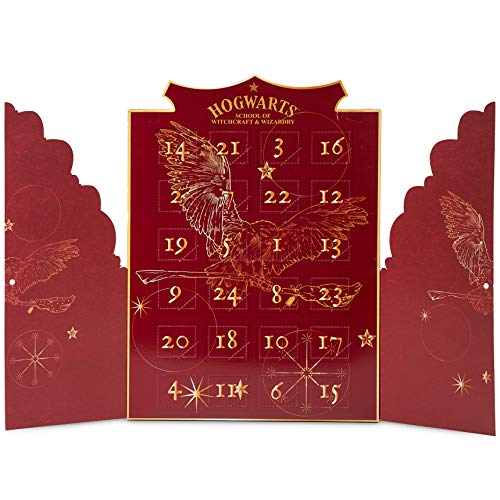 HARRY POTTER Regalos, Calendario Adviento 2021, Calendario Adviento Joyas para Mujer, Adolescentes y Niñas con 24 Accesorios