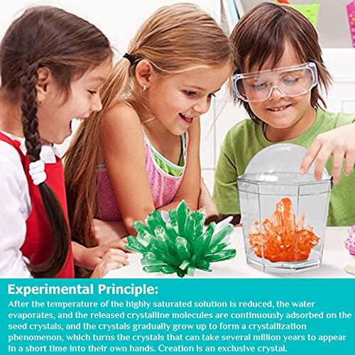 Herefun Cultivo De Cristal para Niños, Kit De Ciencia De Fabricación De Cristal, Laboratorio Experimento Educativo Regalo de Juguete para Bricolaje Niños 8 Años (Rosa Naranja Amarillo Verde)