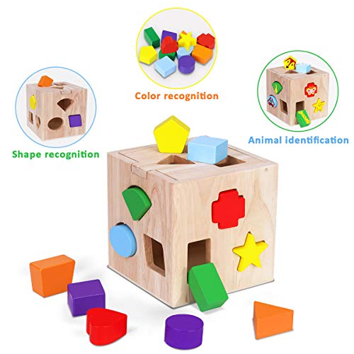 Juguete de Madera Montessori Rompecabezas de Madera de Cubo de Actividades Habilidades motoras para bebés Juego de clasificación de Forma y tamaño Juguete de Aprendizaje Educativo de para niños