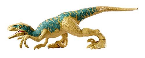 Jurassic World Dinosaurios de Ataque, Velocirráptor Echo, dinosaurio de juguete (Mattel GFG60)