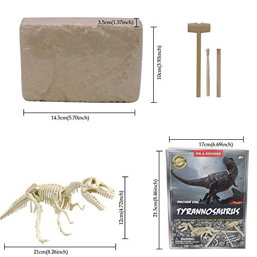 Kit de excavación y excavación de fósiles de Dinosaurio | Juguetes de excavación arqueológica con Martillo de Yeso Cepillo de Limpieza para cavar Dinosaurios Esqueleto Regalo de cumpleaños para niños