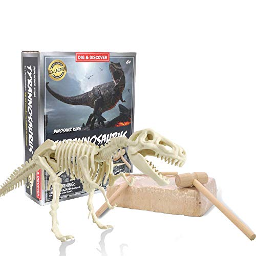 Kit de excavación y excavación de fósiles de Dinosaurio | Juguetes de excavación arqueológica con Martillo de Yeso Cepillo de Limpieza para cavar Dinosaurios Esqueleto Regalo de cumpleaños para niños