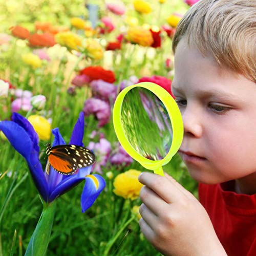 Kit de exploración al aire libre y set de captura de insectos con prismáticos, brújula, lupa, red de mariposas y mochila para niños de 3 a 10 años