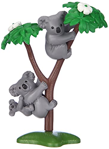 Koalas con Bebé