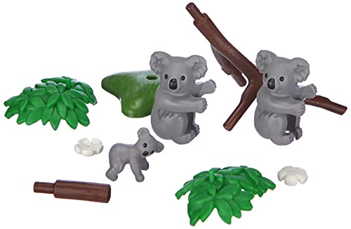 Koalas con Bebé