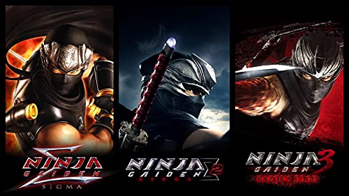 Koei Ninja Gaiden: Colección Maestra (Importación)