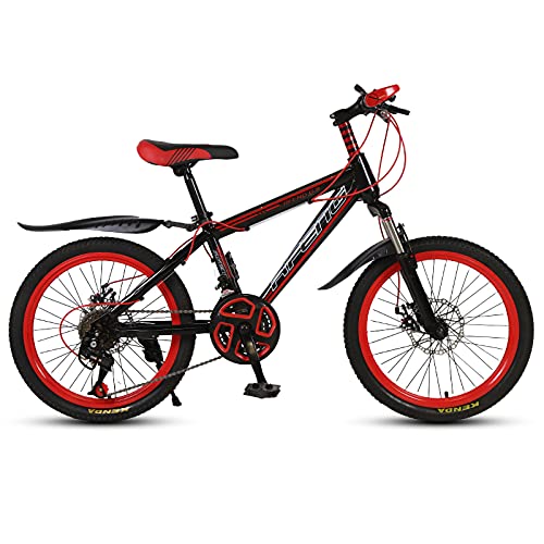 LICHUXIN Bicicleta Niños 20 Pulgadas, Niños Y Niñas De 21 Velocidades, Bicicletas De Cross-Country con Amortiguación De Golpes De Velocidad Variable, con Frenos Doble Disco, Aptas Niños 135-150 Cm,01