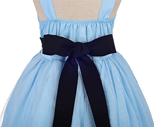 Lito Angels Disfraz de Alicia en el País de las Maravillas con Aro de Pelo para Bebe Niñas, Vestido de Tul de Verano con Delantal Blanco, Talla 12-18 meses, Azul