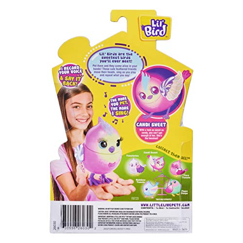 Little Live Pets Lil Candi Sweet 26030 - Pack Individual de pájaro con Cabeza móvil (más de 20 Sonidos de Aves, reacciona al Tocar)