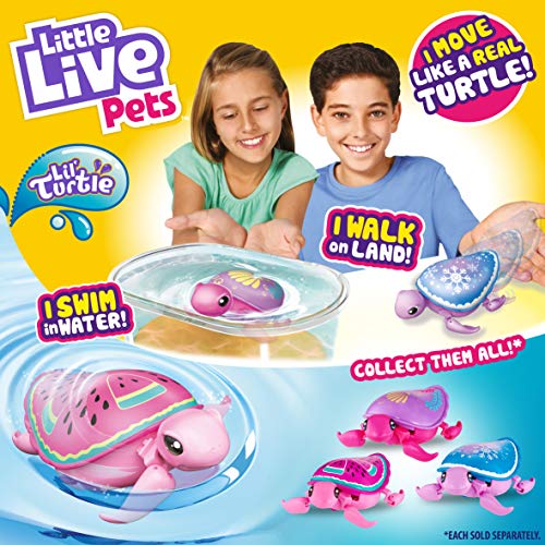 Little Live Pets-Los Estilos de Tortuga Pueden Variar. (Moose 26204)