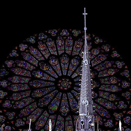 LWKBE Rompecabezas 3D para Adultos Movible Notre Dame de Paris Church Modelo Kits Gran desafío Francés Catedral Cerebro Arquitectura Arquitectura Edificio Rompecabezas, 382 Piezas