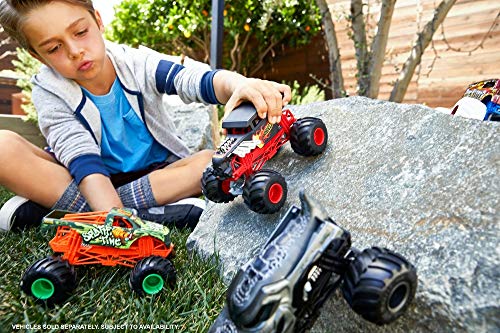 Mattel- Monster Truck 1:24 Hot Wheels Vehículos de Control Remoto (MATFYJ83)