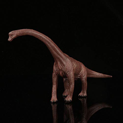 Modelo de Dinosaurio, Juguete de Alta Simulación Modelo de Dinosaurio Brachiosaurus Modelo C05 Regalo para Niños para Niños Mayores de 3 Años