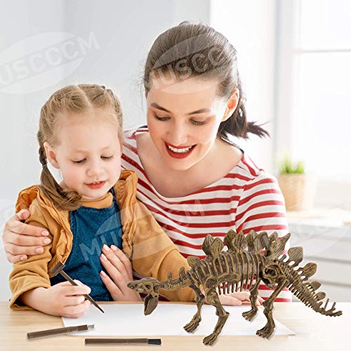 MUSCCCM Dinosaur Dig Kit Estegosaurio, Dino Skeleton Fossil Excavation Kit Realistic Dinosaur Model Juguetes educativos Regalo para Niños Niñas