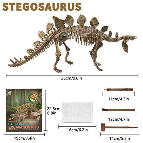 MUSCCCM Dinosaur Dig Kit Estegosaurio, Dino Skeleton Fossil Excavation Kit Realistic Dinosaur Model Juguetes educativos Regalo para Niños Niñas