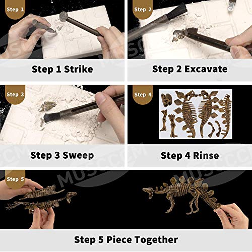 MUSCCCM Dinosaur Dig Kit Estegosaurio, Dino Skeleton Fossil Excavation Kit Realistic Dinosaur Model Juguetes educativos Regalo para Niños Niñas