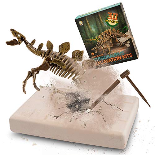 MUSCCCM Dinosaur Dig Kit Estegosaurio, Dino Skeleton Fossil Excavation Kit Realistic Dinosaur Model Juguetes educativos Regalo para Niños Niñas