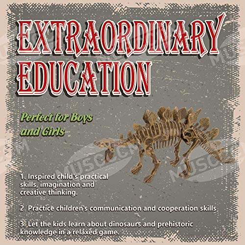 MUSCCCM Dinosaur Dig Kit Estegosaurio, Dino Skeleton Fossil Excavation Kit Realistic Dinosaur Model Juguetes educativos Regalo para Niños Niñas