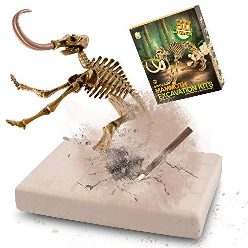 MUSCCCM Dinosaur Dig Kit Mamut, Dino Skeleton Fossil Excavation Kit Realistic Dinosaur Model Juguetes educativos Regalo para Niños Niñas