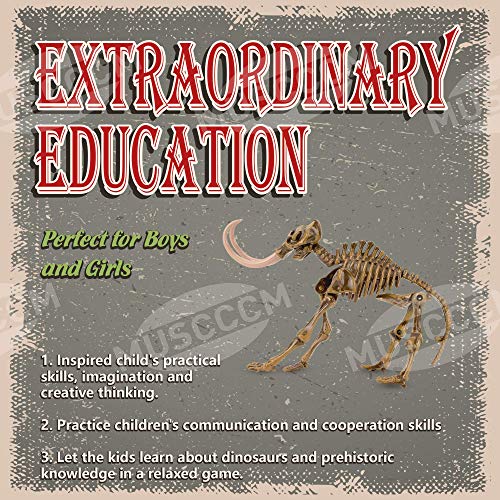 MUSCCCM Dinosaur Dig Kit Mamut, Dino Skeleton Fossil Excavation Kit Realistic Dinosaur Model Juguetes educativos Regalo para Niños Niñas