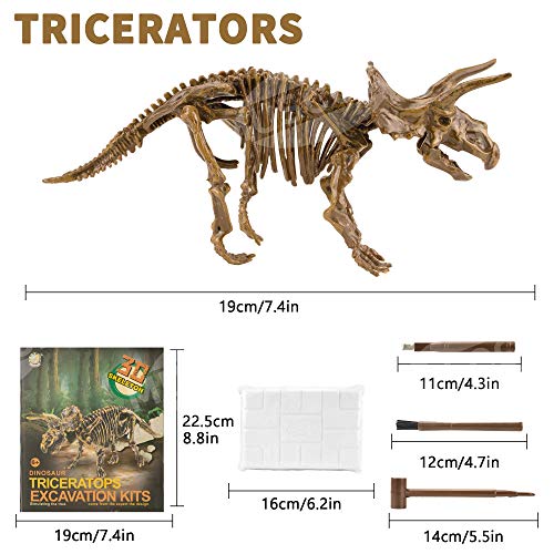 MUSCCCM Dinosaur Dig Kit Triceratops, Dino Skeleton Fossil Excavation Kit Realistic Dinosaur Model Juguetes educativos Regalo para Niños Niñas