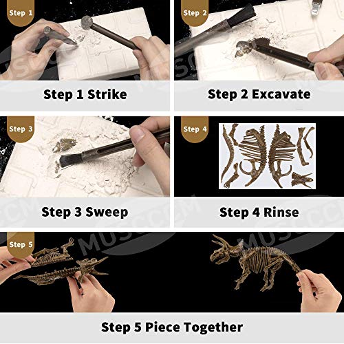 MUSCCCM Dinosaur Dig Kit Triceratops, Dino Skeleton Fossil Excavation Kit Realistic Dinosaur Model Juguetes educativos Regalo para Niños Niñas