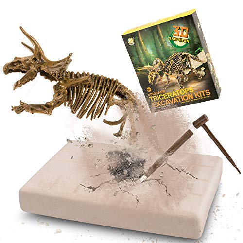 MUSCCCM Dinosaur Dig Kit Triceratops, Dino Skeleton Fossil Excavation Kit Realistic Dinosaur Model Juguetes educativos Regalo para Niños Niñas