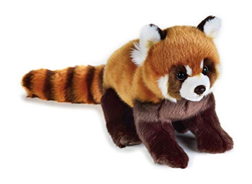 NATIONAL GEOGRAPHIC- roter Panda Peluche, Color marrón (9770716)