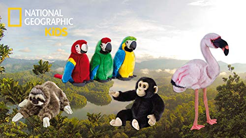 National Geographic- Schimpanse Peluche, Color Negro (9770713)