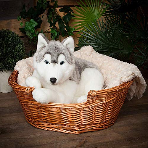 Nature-AN478 Living Nature - Peluche gigante para perro Husky, color gris y blanco (60 cm), grey & white (Keycraft AN478 , color/modelo surtido