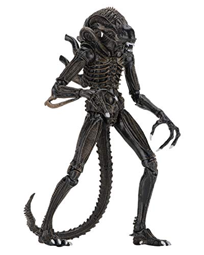 NECA Alien Marron Ultimate Warrior 1986 23 cm Scale Action Figure Aliens, Multicolor (NEC0NC51683)