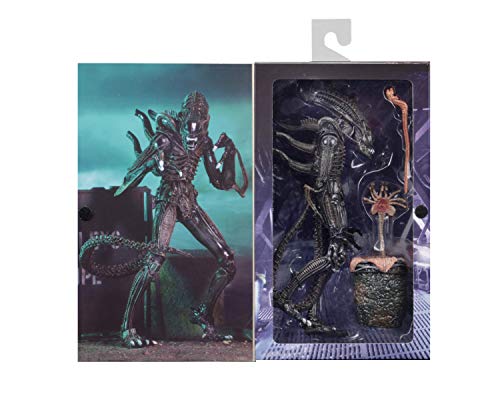 NECA Alien Marron Ultimate Warrior 1986 23 cm Scale Action Figure Aliens, Multicolor (NEC0NC51683)