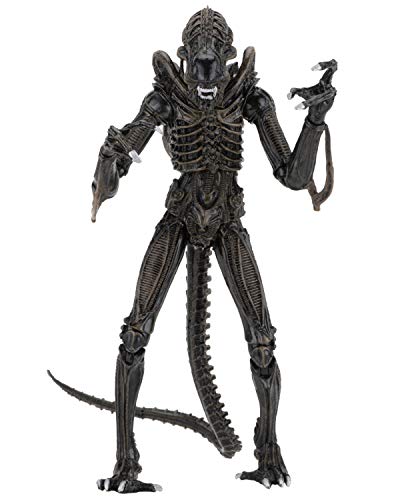 NECA Alien Marron Ultimate Warrior 1986 23 cm Scale Action Figure Aliens, Multicolor (NEC0NC51683)