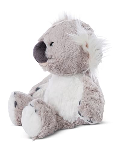 NICI - Koala de Peluche (N36391)