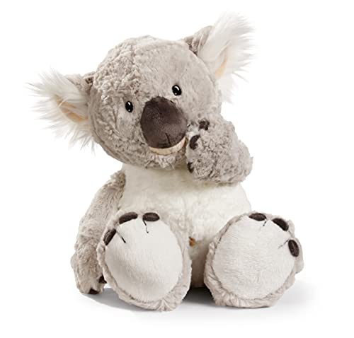 NICI - Koala de Peluche (N36391)