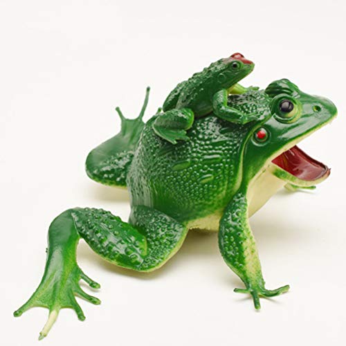 NUOBESTY Simulación Rana Juguete Ranas de Plástico Juguete Ranas de Goma Selva Tropical Personaje Juguetes Mini Figurita Hogar Decoración de Escritorio