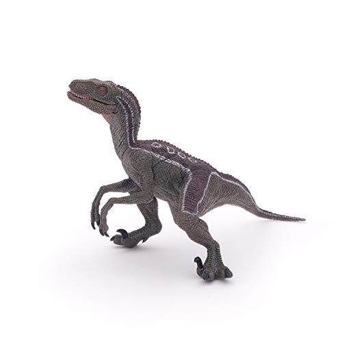 Papo- Figura Dinosaurio Velociraptor 7X9,8X9,5CM, Multicolor, 17 cm Lang (55023)