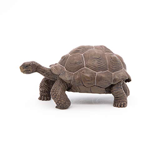 Papo- Figura Tortuga Galapagos 11X6X5,3CM, Multicolor (50161)