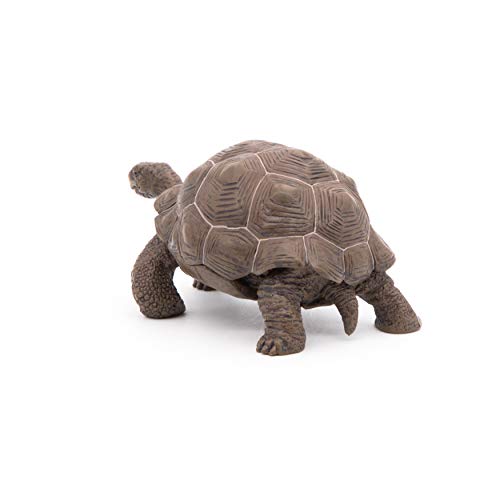 Papo- Figura Tortuga Galapagos 11X6X5,3CM, Multicolor (50161)