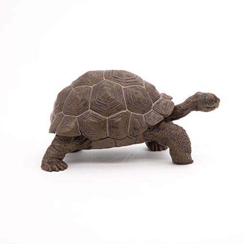 Papo- Figura Tortuga Galapagos 11X6X5,3CM, Multicolor (50161)