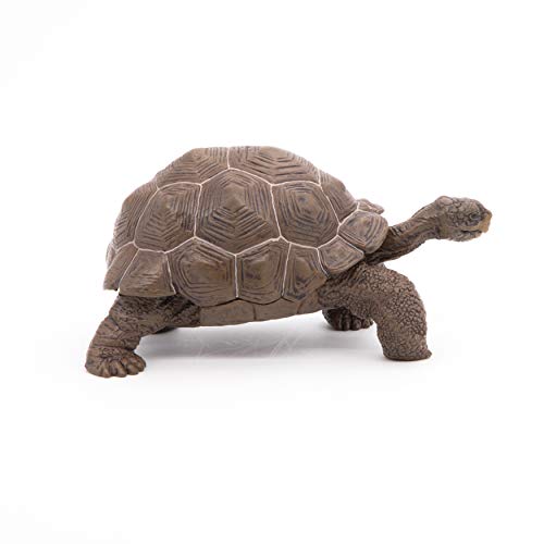 Papo- Figura Tortuga Galapagos 11X6X5,3CM, Multicolor (50161)