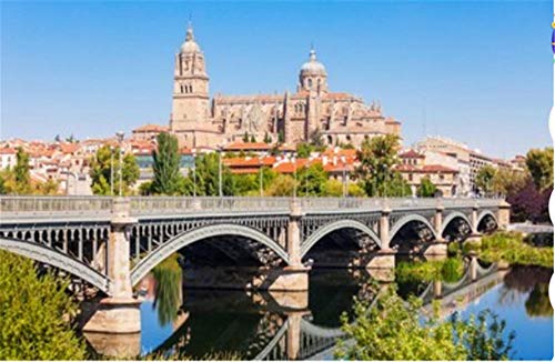 para Niños Adulto Juguete Regalo Puzzle La Catedral De Salamanca Es Una Catedral Gótica Y Barroca Tardía En La Ciudad De Salamanca Castilla Rompecabezas De Bricolaje Juego De 1000 Piezas