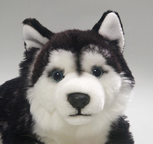 Peluche - Husky (Felpa, 32cm Longitud Total) [Juguete] 2783