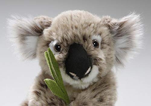 Peluche - Oso de Koala (Felpa, 16cm) [Juguete] 3317