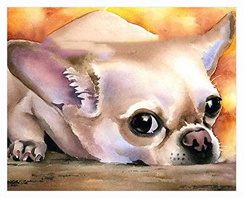 Pintura por Números DIY Acrílica Pintura Kit para Adultos y Niños Principiantes - Chihuahua Perro Animal -Decoración Del Hogar Cartel Artístico Impreso Lienzo